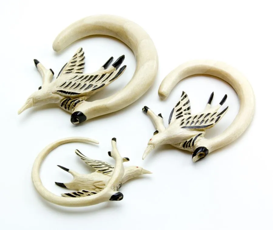 Gannet Diving Bird Organic Crocodile Wood Ear Hangers - 3mm-12mm - Price Per 2