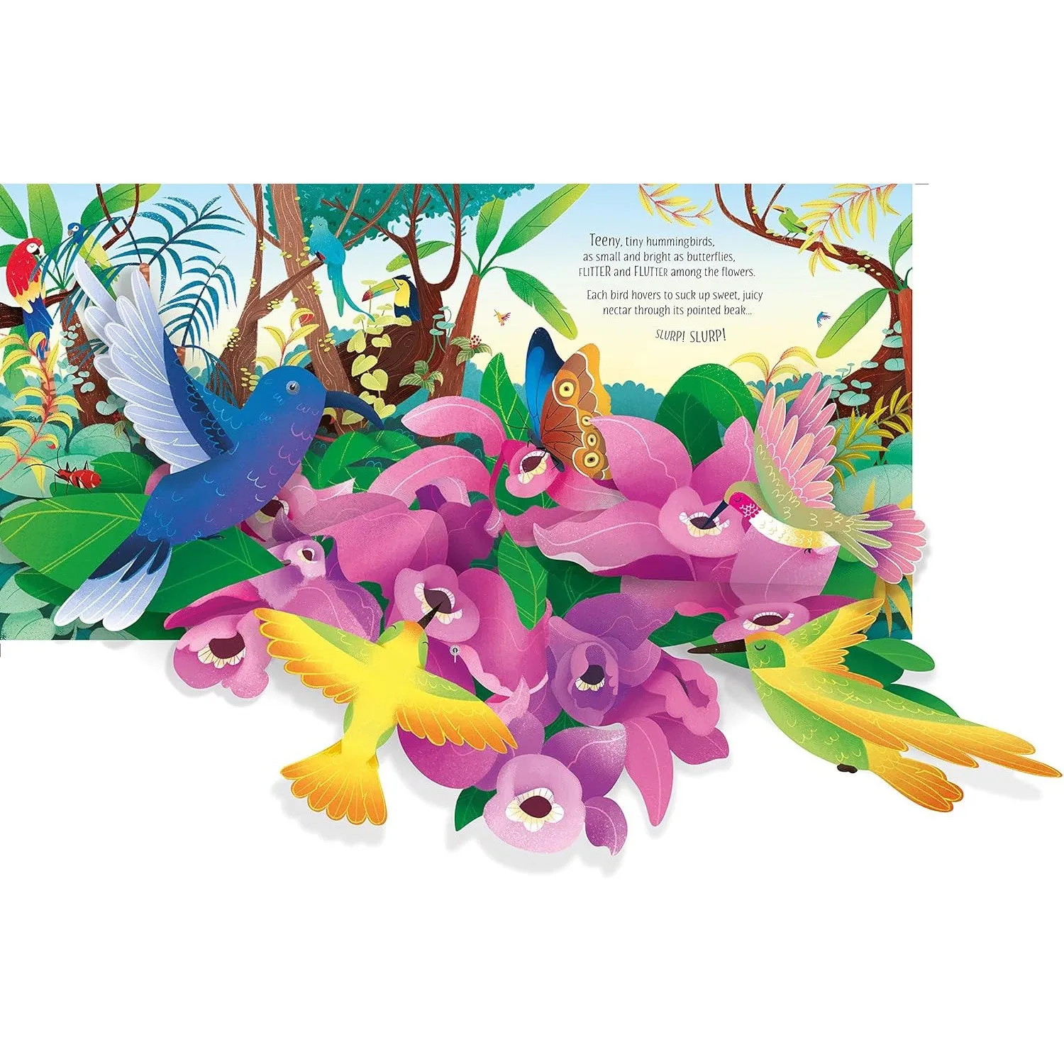 Usborne pop-up birds