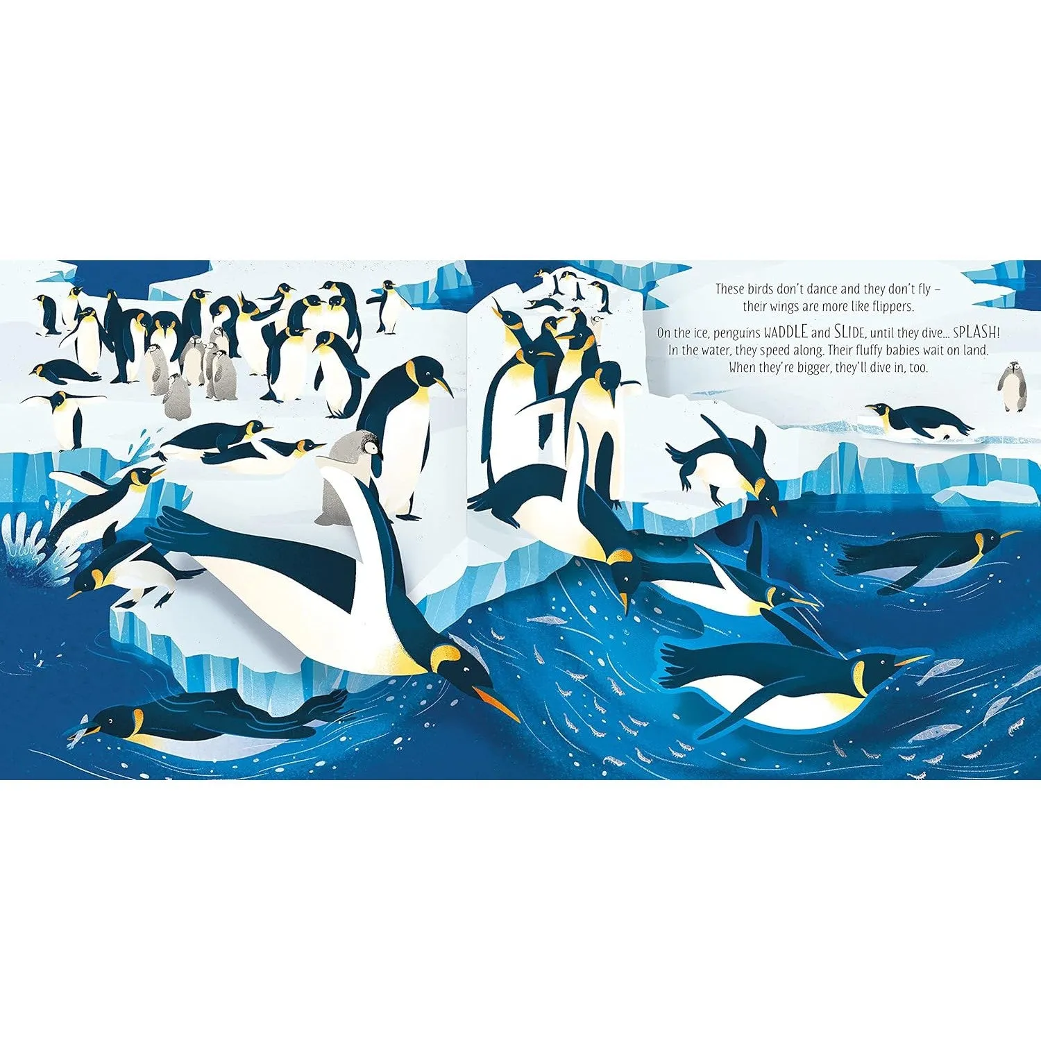 Usborne pop-up birds