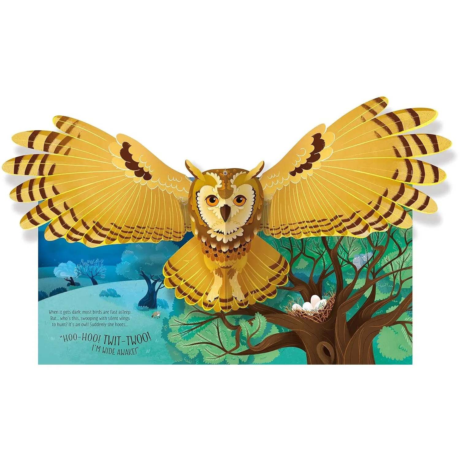 Usborne pop-up birds